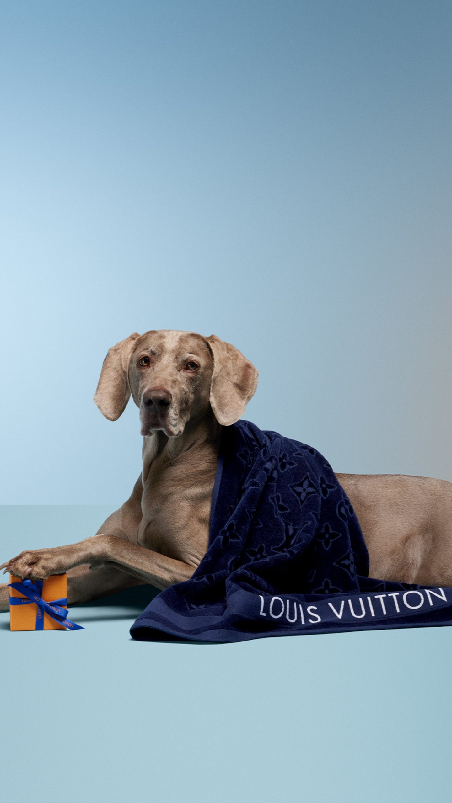 LOUIS VUITTON
